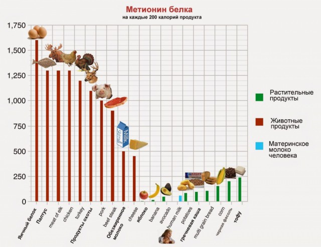 НЕЛЬЗЯ МЕТИОНИН БЕЛКА.jpg